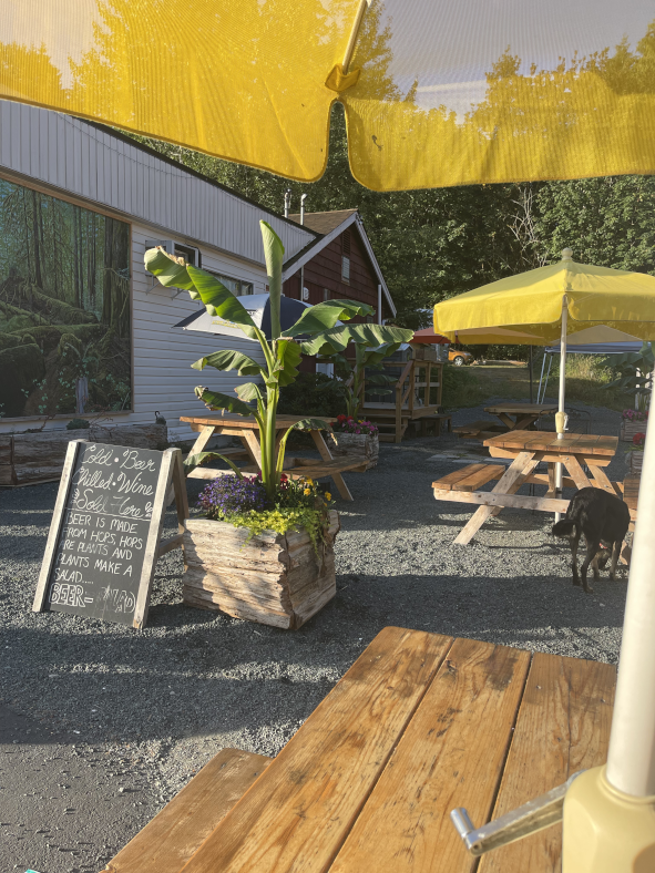 Seating for Eating